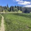 Hardened trail through the wet meadow.