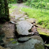 Rock Bridge early on the Brood IX Trail.