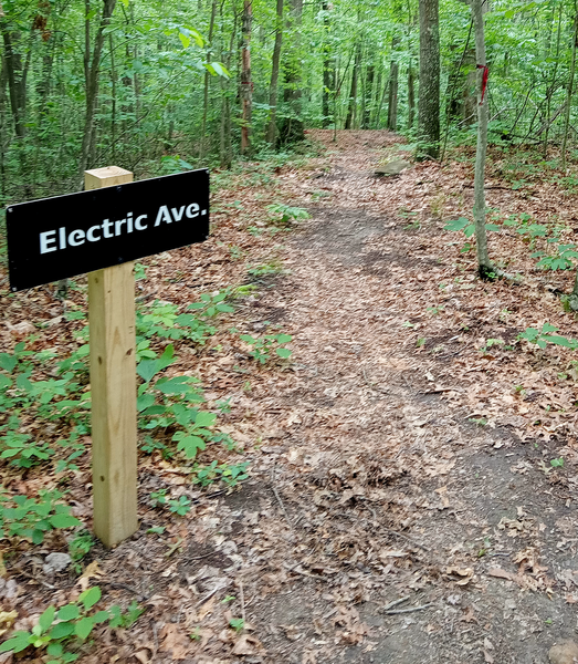 Beginning of Electric Avenue