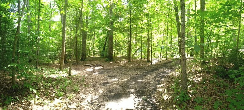 Camp along the Cranberry Tri-Rivers Trail.