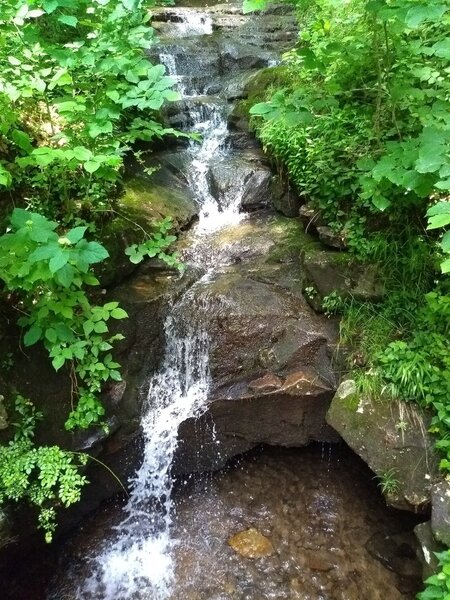 Falls on a steep run alongside the Cranberry Tri-Rivers Trail.