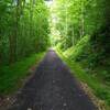 Elk River Rail Trail, between Frametown and Strange Creek.