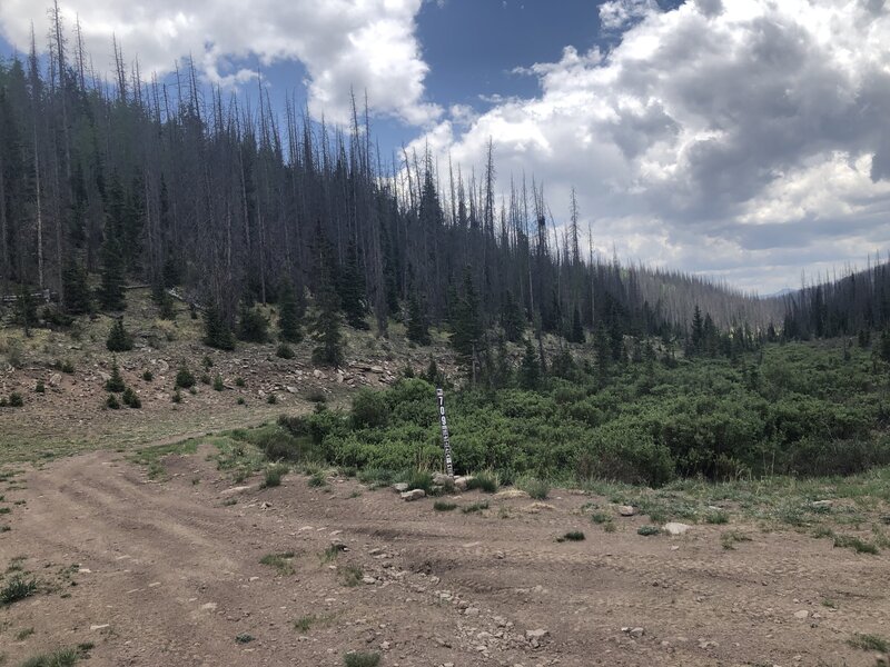 At the top of Bear Creek Trail #709.