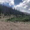 At the top of Bear Creek Trail #709.