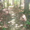 Singletrack on Rock Ridge Trail.