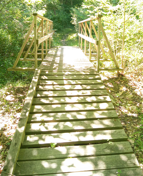 Bridge on Rock Ridge Trail.