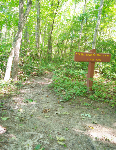 End (or optional beginning of Creek Crossing Trail).