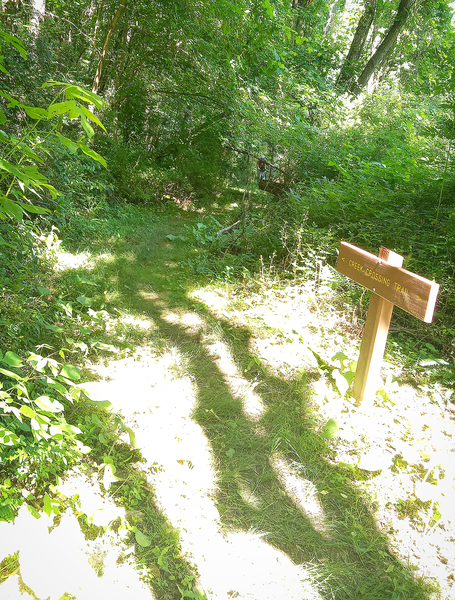 After big uphill, a sort section if grassy singletrack on Creek Crossing, near Mill Connector.