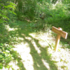 After big uphill, a sort section if grassy singletrack on Creek Crossing, near Mill Connector.