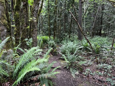 Took a break after so many turns and almost running into a tree stump mid way into a tight turn.