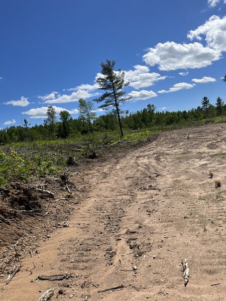 A large section of the trail has been deforested.  Stick to the singletrack around the lake.