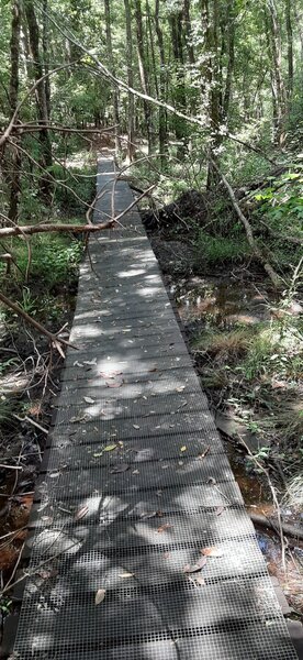 Trail is unkempt and heavily overgrown, ride at your own risk.