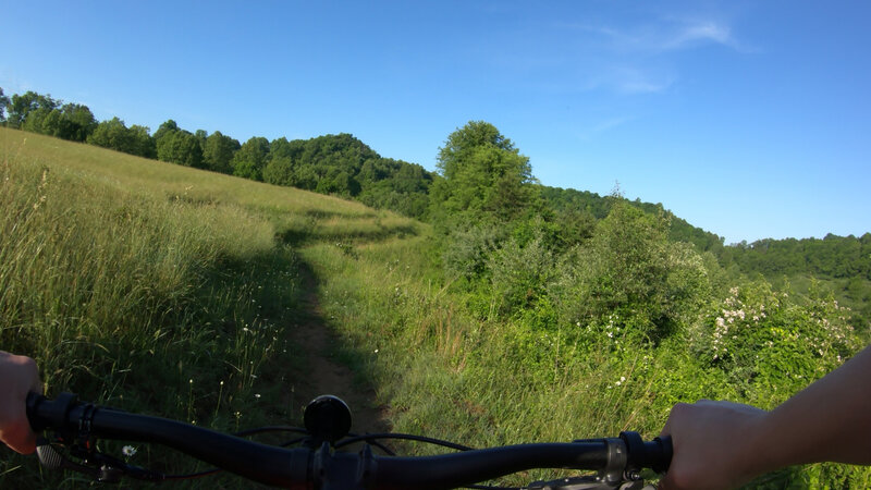 A segment of this trail is on the edge of an open field.