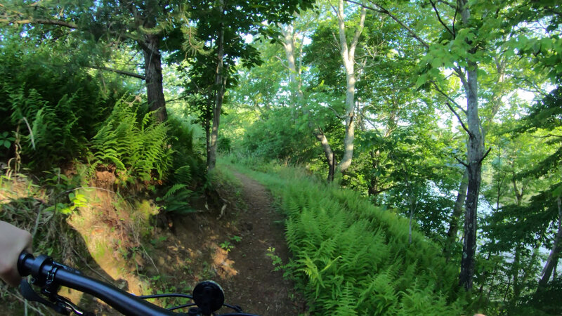 The first section of the trail is just above the lake.