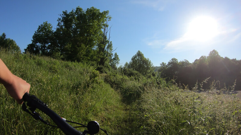 A brief ascent into a second wooded section.