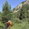 Expect some stretches of pushing on the Ubayette Trail, but it never gets too thick or unpleasant.