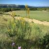 Lovely Provence scenery.