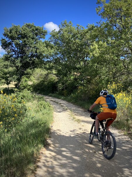 Typical dirt road in Provence.