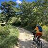 Typical dirt road in Provence.