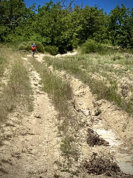 Tracks in Provence tend to be really steep, which means they erode easily.