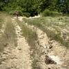 Tracks in Provence tend to be really steep, which means they erode easily.