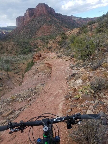 Descending down dynamite trail near the end of the ride.