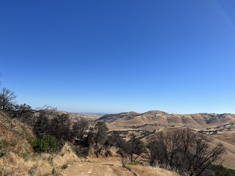 Trail overview.