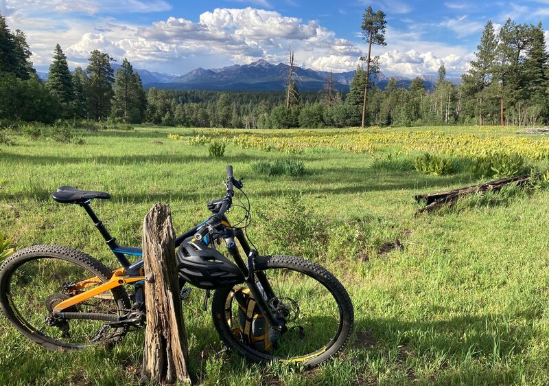 Open meadow view of Pagosa Peak.