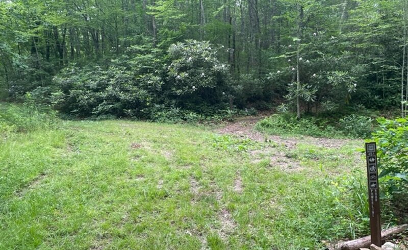 Powerline Trail going left to right with Blackrock Trail exit in center.