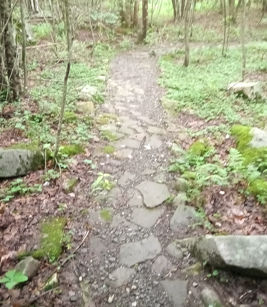 Short rocky part on Ant Hill Trail.