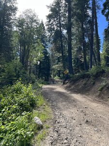 Start of trail.