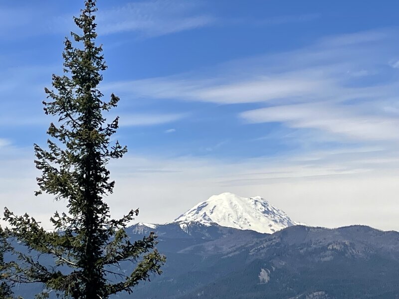 Nice views of Rainier.