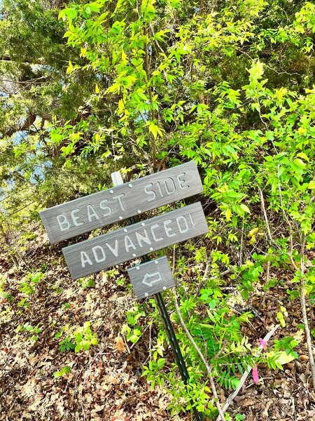 Entrance to beast Side (Acradia Lake East).