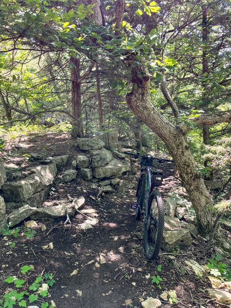 Good example of about 2/3 of trail. Lots of rocks, roots on remaining 3rd.