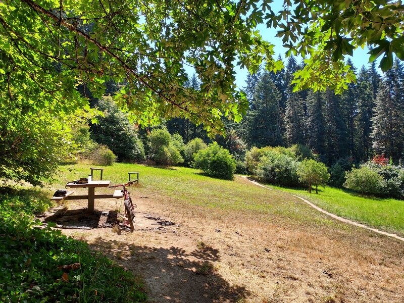 Picnic Area with one table.