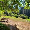 Picnic Area with one table.