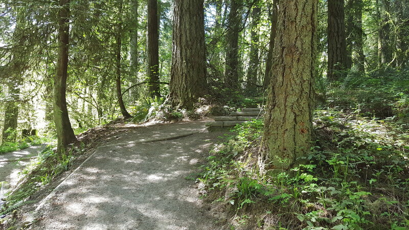 Moonshine Hill log stairs.