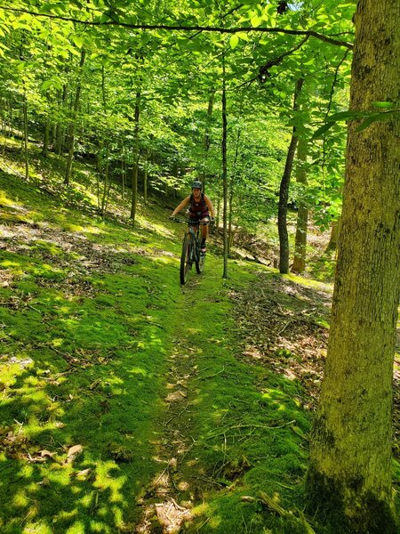 Riding through a mossy section on the Ten Acre Trail!