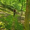 Riding through a mossy section on the Ten Acre Trail!