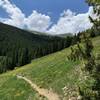 Classic steep and deep singletrack.