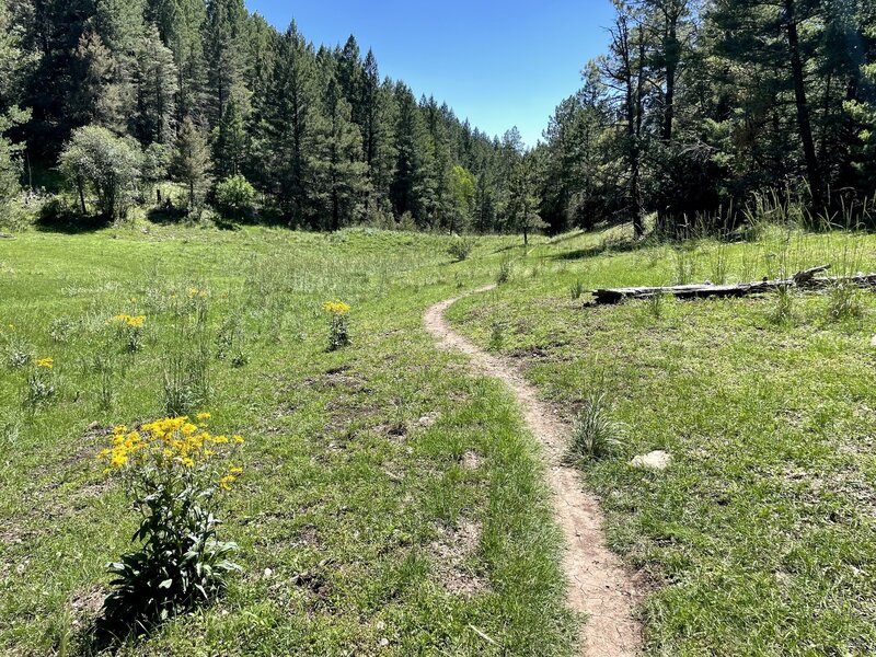 Bailey Canyon.