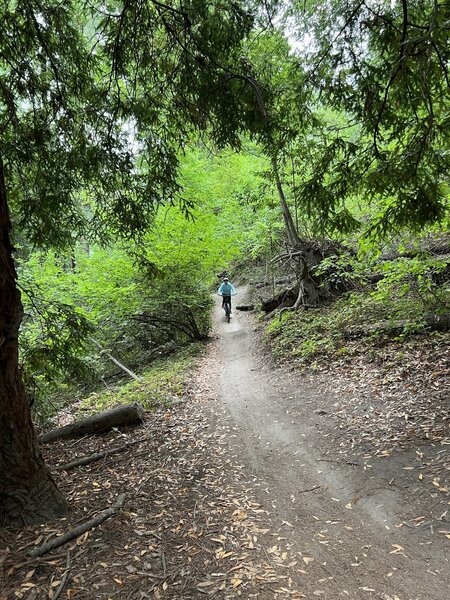 Circle Loop Mountain Bike Trail Santa Cruz California