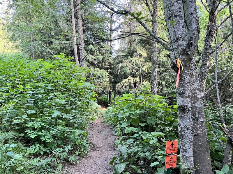 Trail entrance.