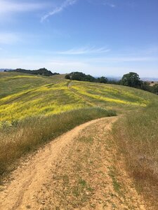 Nice East Bay scenery in Spring.