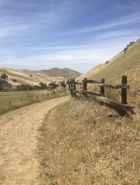 Near bottom of Stewartville Ridge Loop near trail to parking lot.