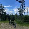 Golden Eagle (on ski trail Exhibition and chair lift #1 decommissioned).