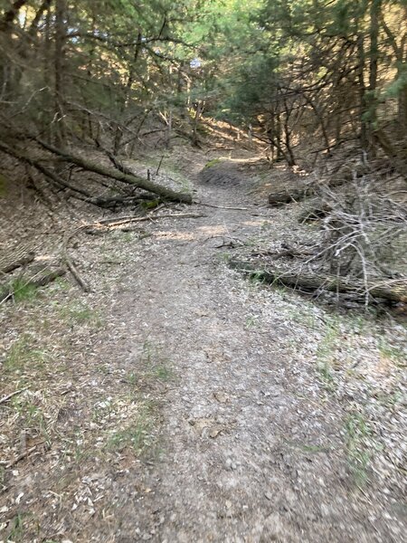 Churchgrove Cutoff is a good connection between Freeway and Churchgrove. Pretty basic until the very top where it's steeper and the trees get tighter.