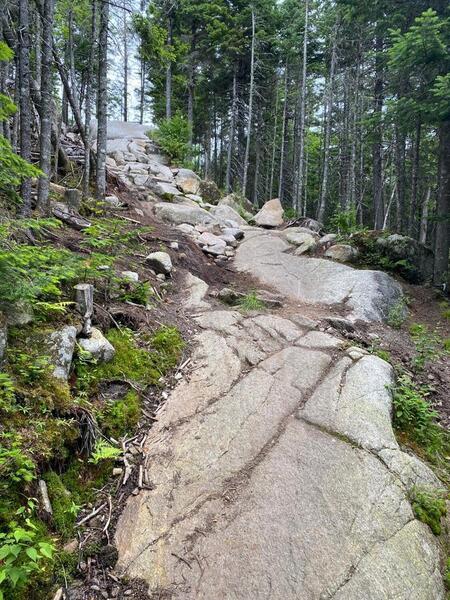 Crazy rock gardens.