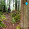 Fork Mtn trail on a foggy day - by Mike Boyes.