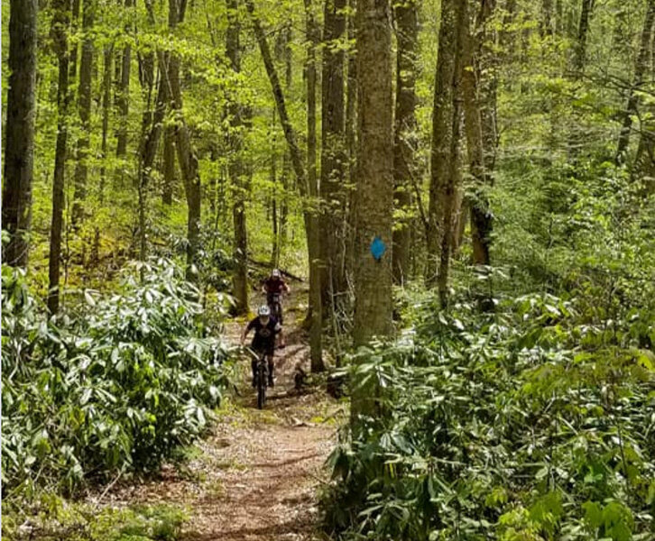 Dwayne and Laura on Fork Mtn trail.